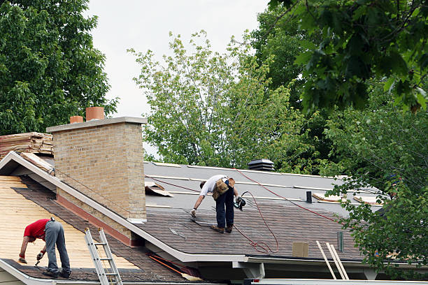 Roof Gutter Cleaning in St Bonaventure, NY